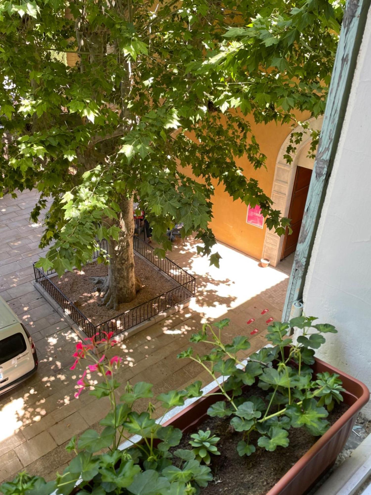 Cosycocoon La Bastide Lejlighedshotel Draguignan Eksteriør billede